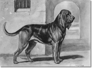 edwin-megargee-dog-print-bloodhound